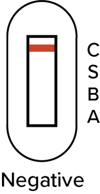 Negative. Results window showing only one red line across the top by the C