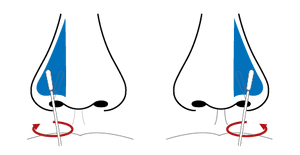 Swab head moving around the inside of one nostril in circles, and then repeated again in the other nostril