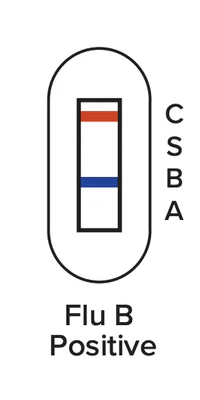 Flu B Positive. Results window showing two lines: one red by C at the top, and one blue by the B near the middle